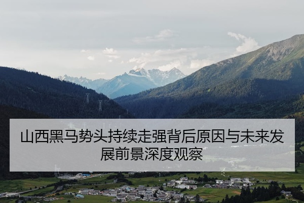 山西黑马势头持续走强背后原因与未来发展前景深度观察